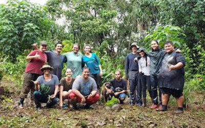 We’d Like to Give a Big Mahalo to Our Volunteers! | read article