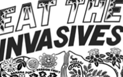 Eat The Invasives Friday Oct. 28th | read article