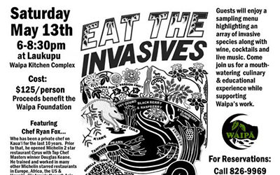 Eat the Invasives at Waipa May 13th! | read article