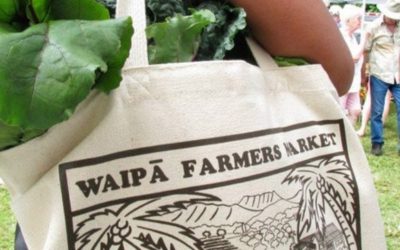 Yes! The Waipā Farmers Market is Back! | read article