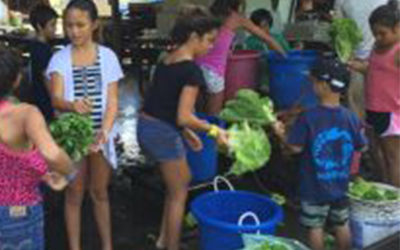 Waipā, Bringing Home the Greens! | read article