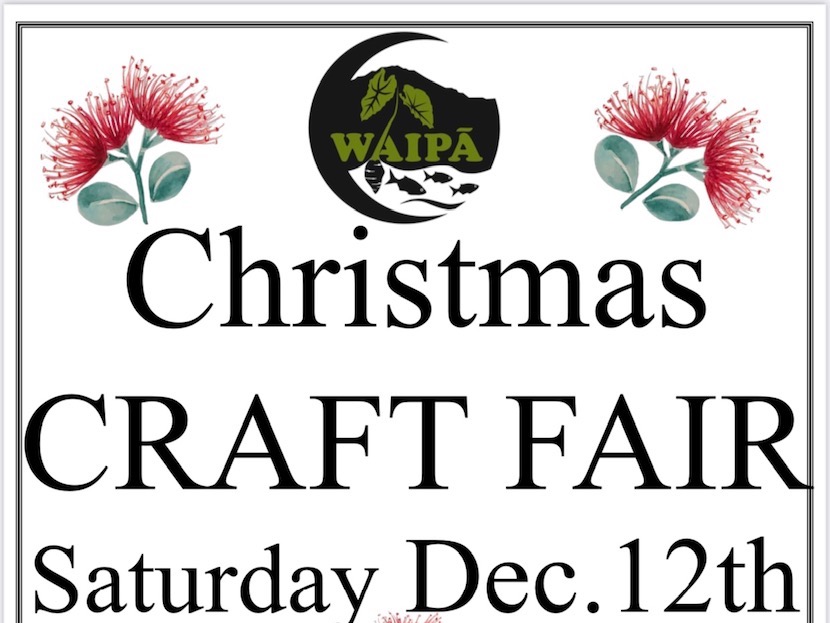 Waipā Christmas Craft Fair on Dec 12, 2020 | read article
